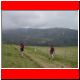 koralm 2003_06.html